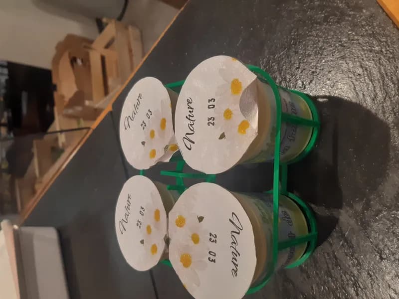 Panier 4 yaourts nature x 125g