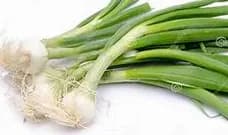 Légume BIO / Oignons tige
