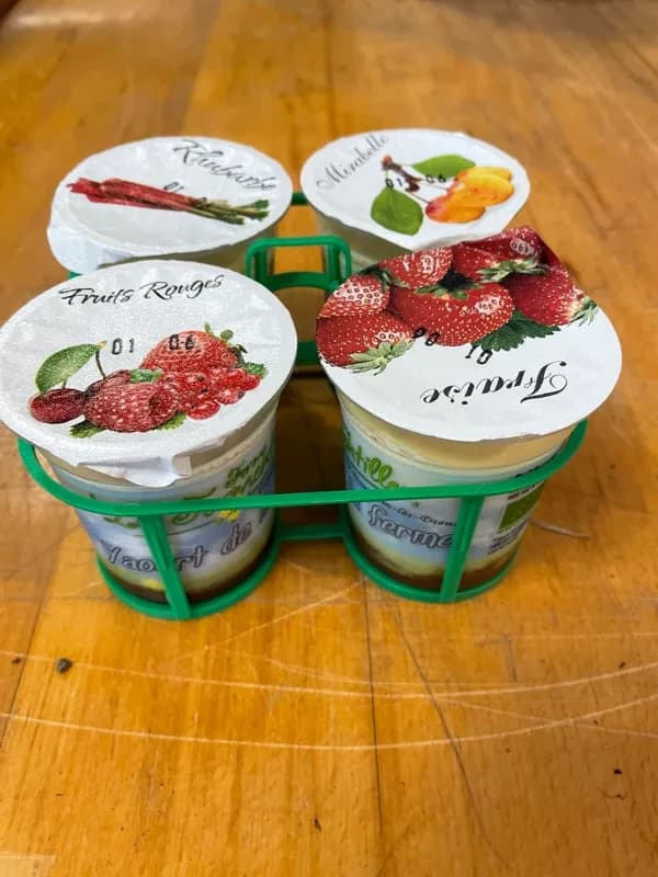 Yaourt bio au coulis de fruits Panier 4x125g